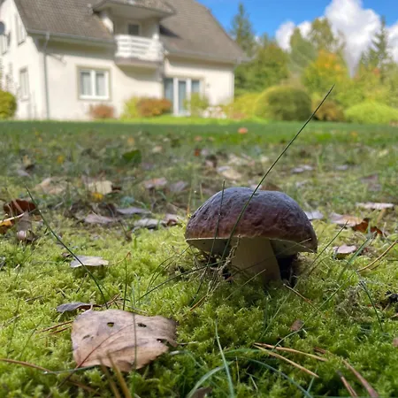 Noclegi Faryny Dom wakacyjny Faryny