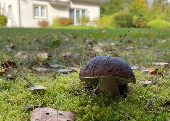 Noclegi Faryny Dom wakacyjny Faryny